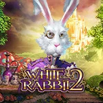 White Rabbit 2